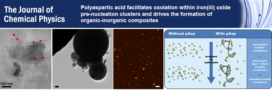 Our article, Polyaspartic acid facilitates oxolation in iron(III) oxide pre-nucleation clusters and drives the formation of organic-inorganic composites, was published in 
the Journal of Chemical Physics, 2016, 145, 211917